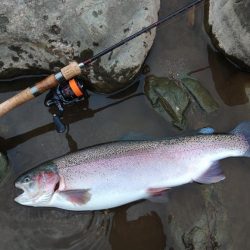 天竜川ルアーフライ専用区